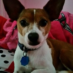 Meet your Posher, Ellen